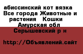 абиссинский кот вязка - Все города Животные и растения » Кошки   . Амурская обл.,Серышевский р-н